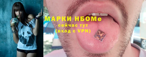 стаф Аркадак