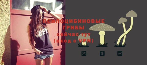 гашик Арсеньев