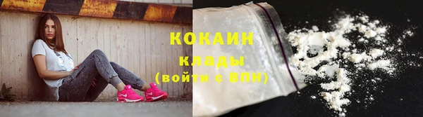 стаф Аркадак