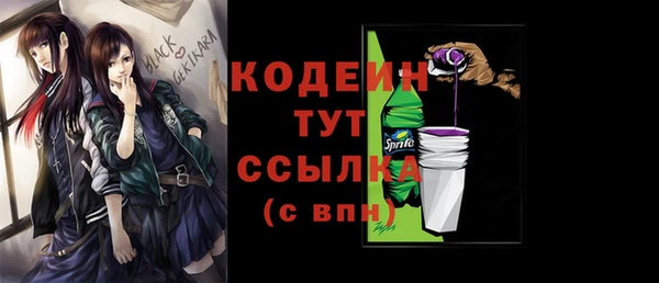 стаф Аркадак