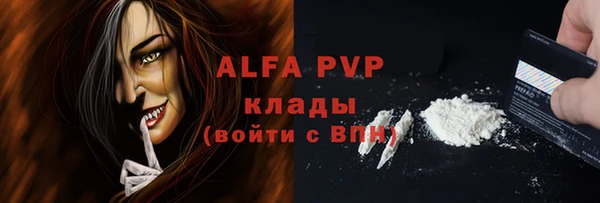 гашик Арсеньев