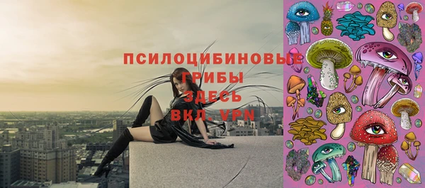 стаф Аркадак