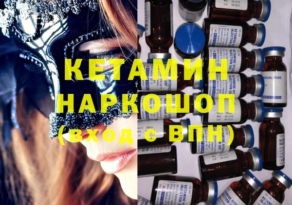 стаф Аркадак