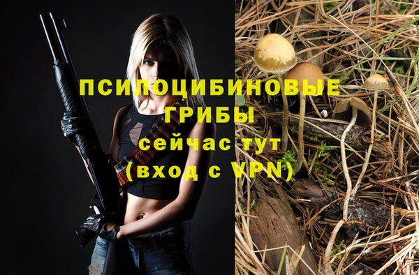 стаф Аркадак