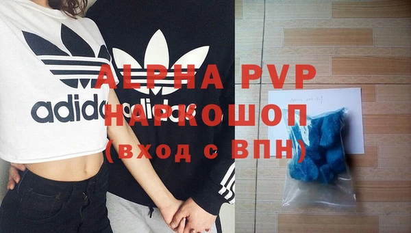 гашик Арсеньев